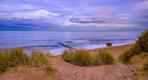 A beach with sand dunes and a wooden pier