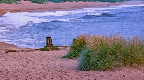 A beach with grass and sand dunes