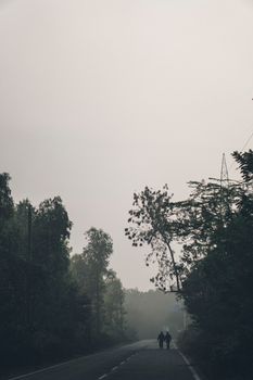 A misty road lined with trees and two people walking, creating a serene and moody atmosphere.