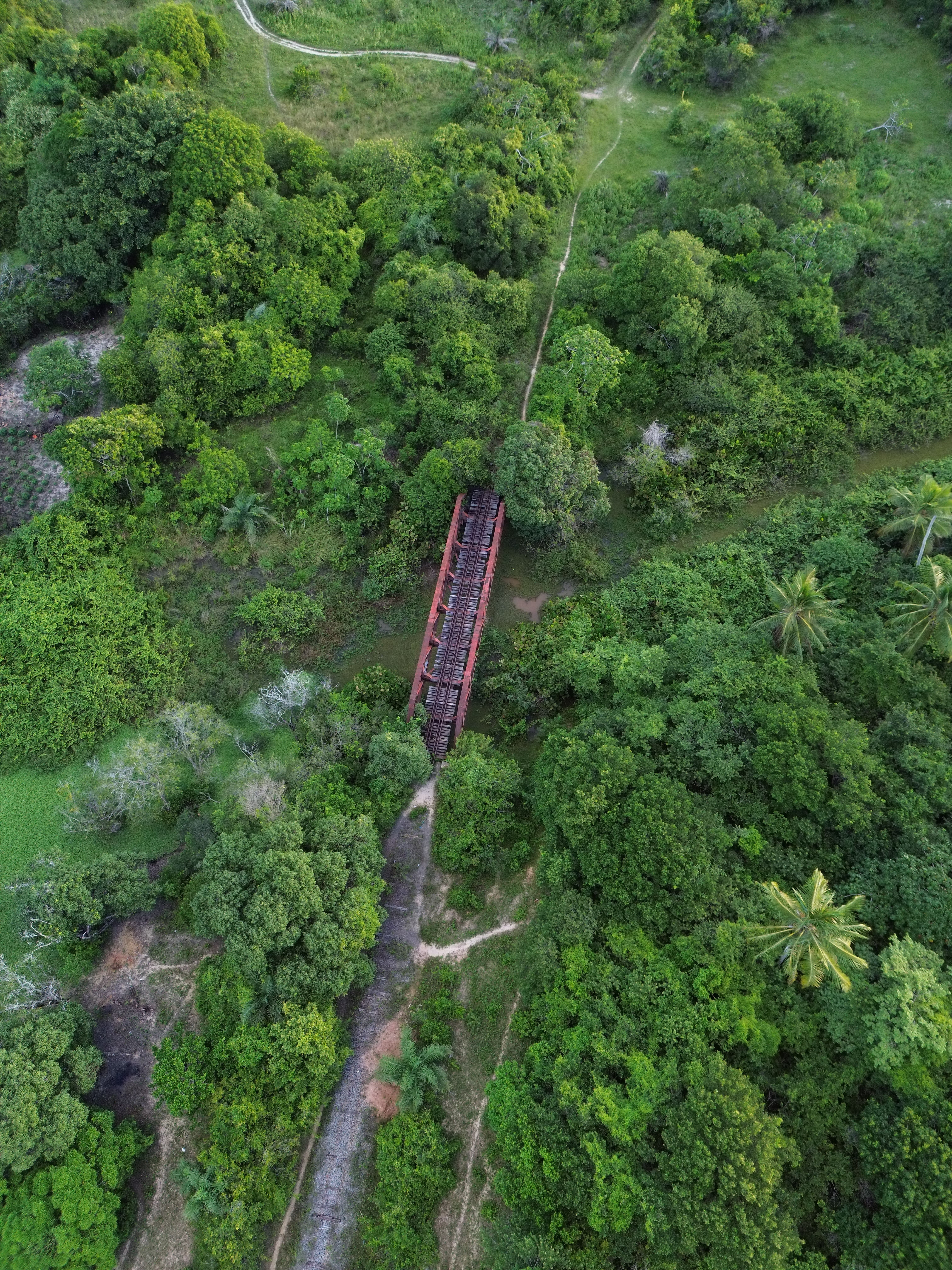 Aerial View of a Footbridge · Free Stock Photo