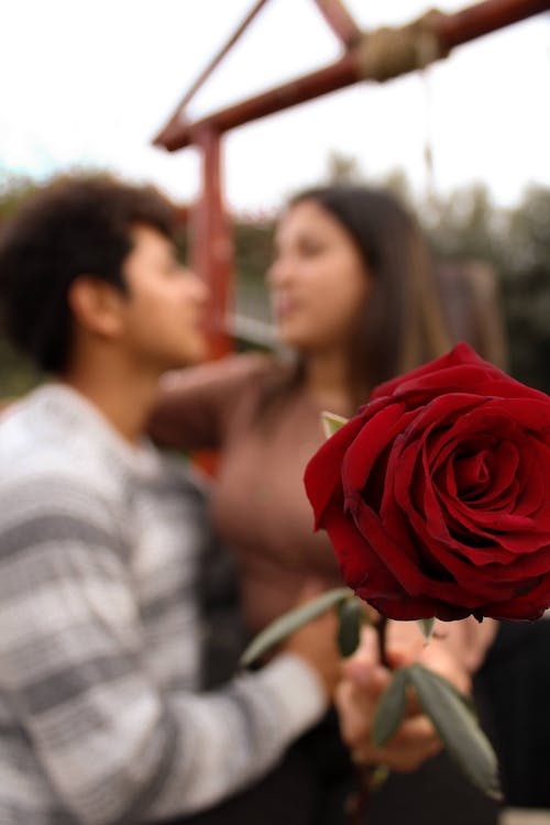 Foto profissional grátis de amor, amor próprio, amoroso