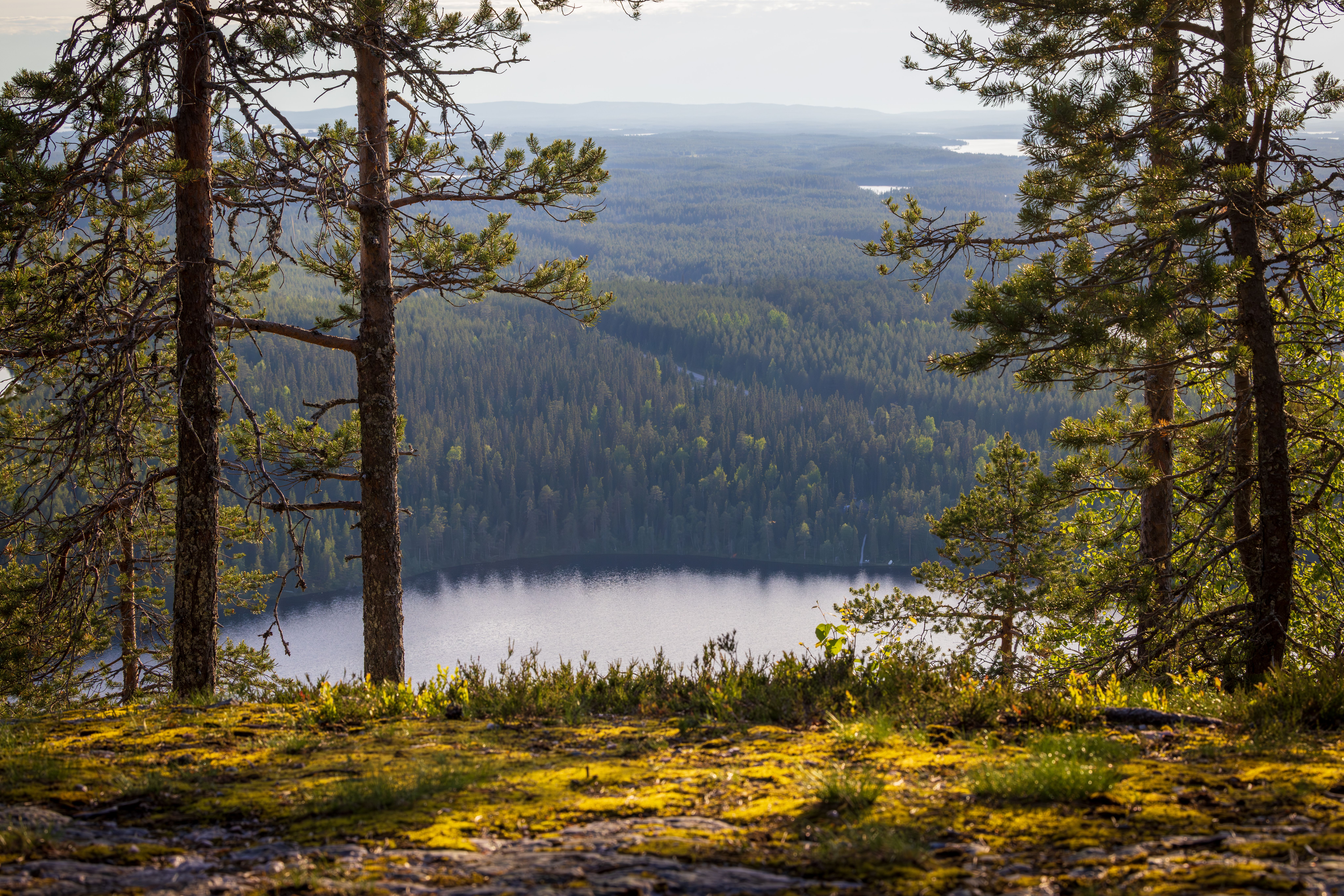 Motorhome Tips Over in Kuusamo Rest Area, Driver and Cat Rescued Unharmed
