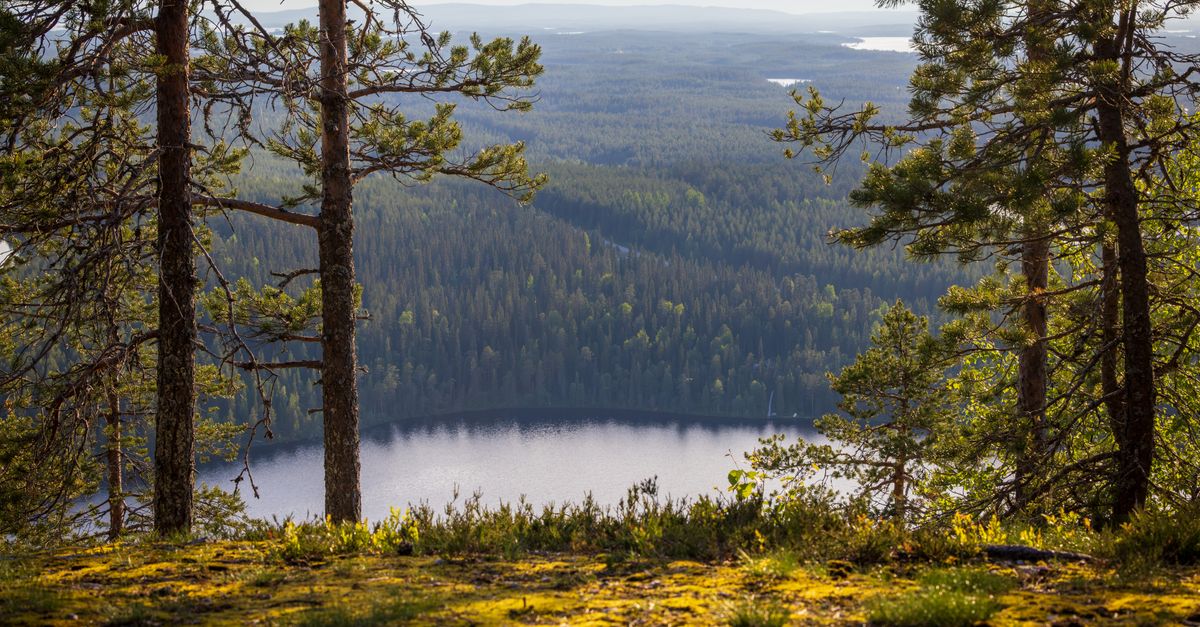 Photo of Finland