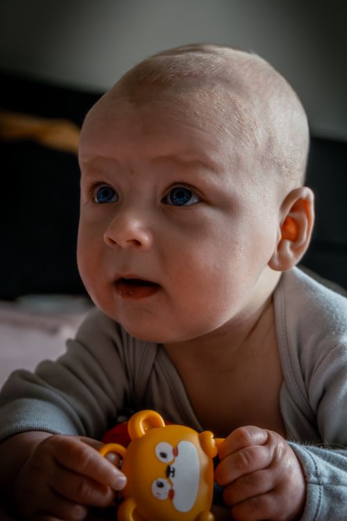 Free A cute baby holding a toy, captured in a cozy indoor environment with warm lighting. Stock Photo