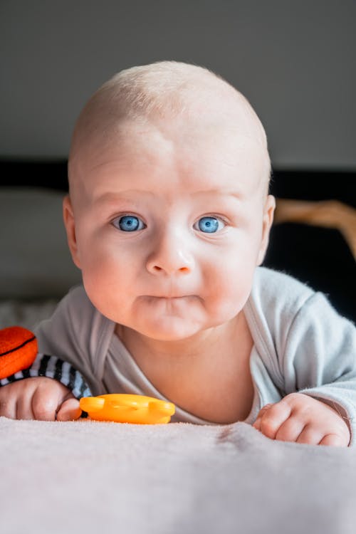 Imagine de stoc gratuită din adorabil, bebeluș, chel