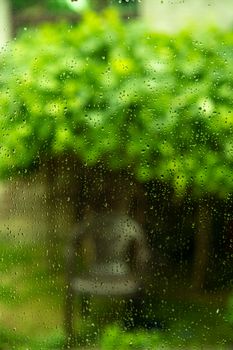 Beautiful garden view through a window with raindrops in Srinagar, creating a serene atmosphere.