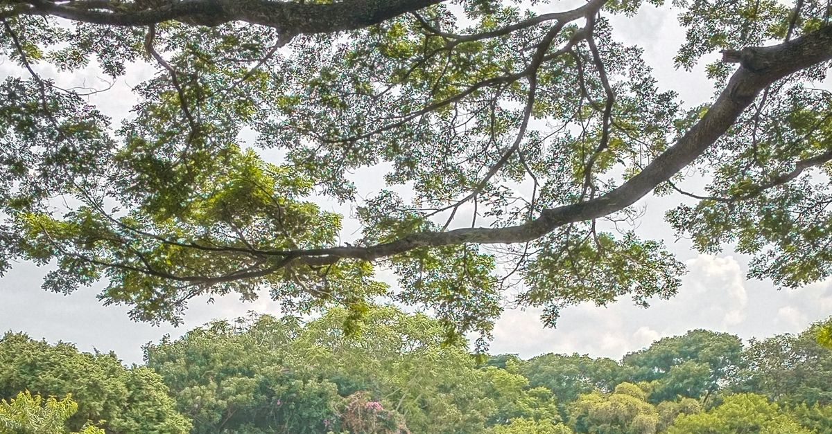 Los parques temáticos más grandes del mundo con parques temáticos múltiples y servicios Los parques temáticos más grandes del mundo con parques temáticos múltiples y servicios