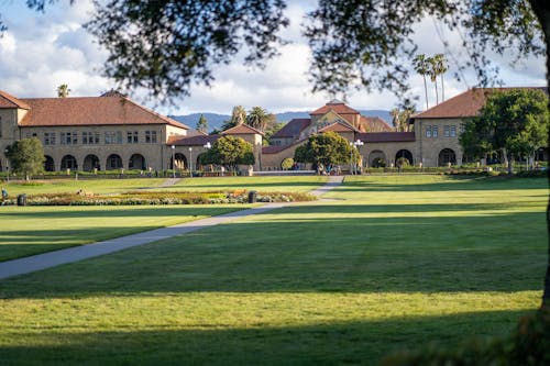 Stanford University Stanford University