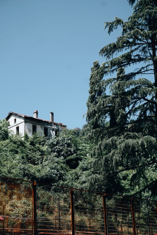 Free A rustic house perched on a hill surrounded by lush green trees under a clear blue sky. Stock Photo