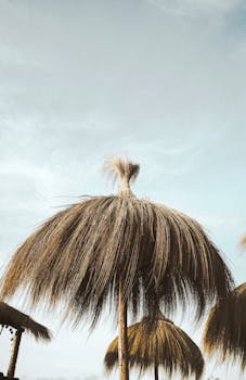 意大利弗雷热奈的天空晴朗，稻草伞非常适合阳光明媚的海滩日