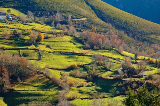 A vibrant autumn countryside view in San Román, España with lush green fields and colorful trees.