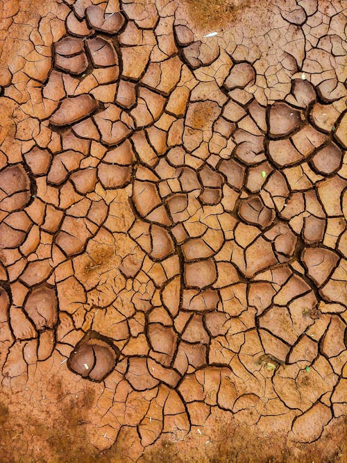 Free barren dry Stock Photo