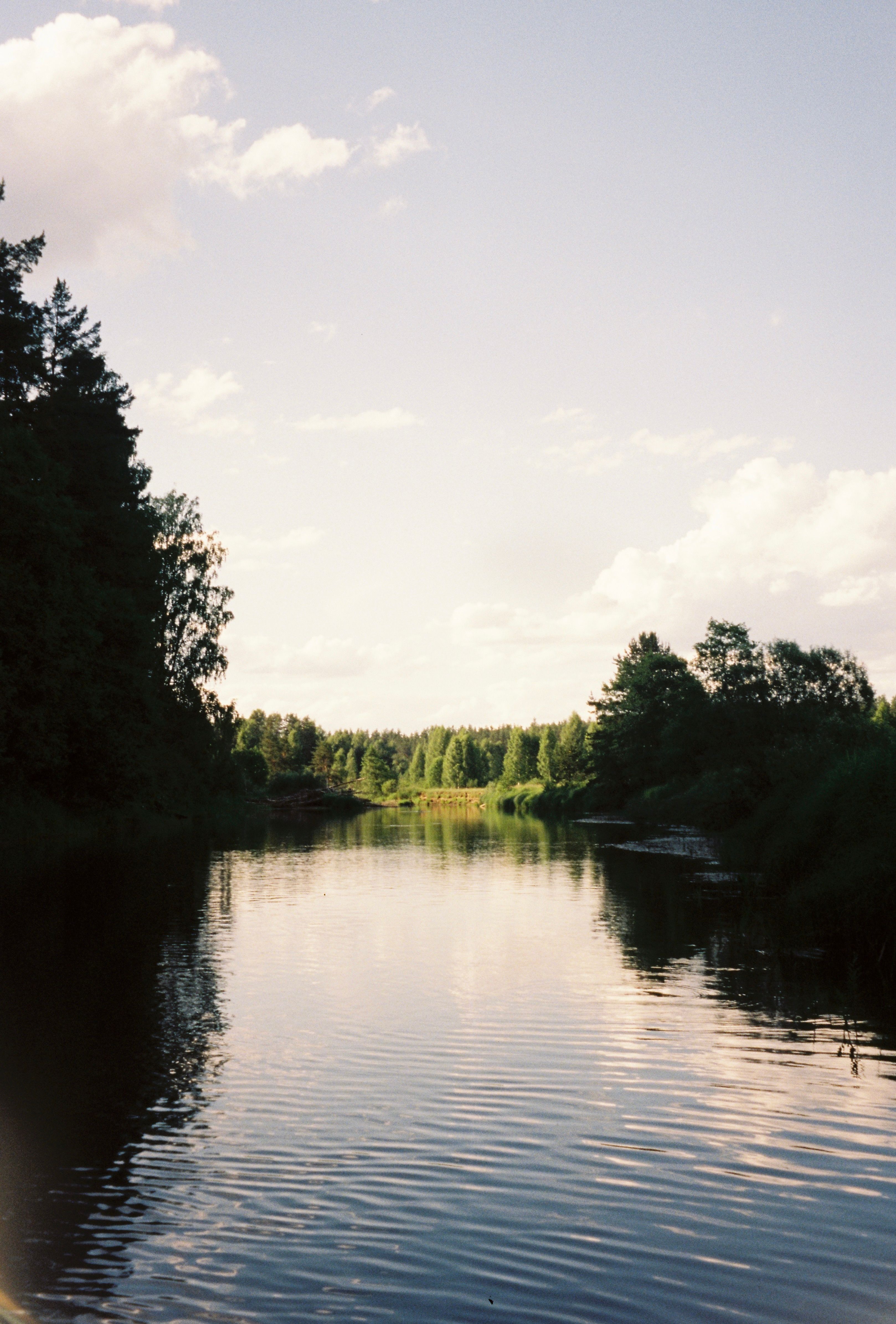 Tranquil river scene with lush green trees reflecting in calm waters under a cloudy sky.