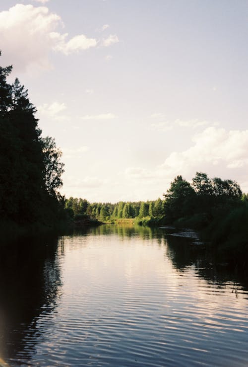 Kostenloses Stock Foto zu baum, dämmerung, draußen