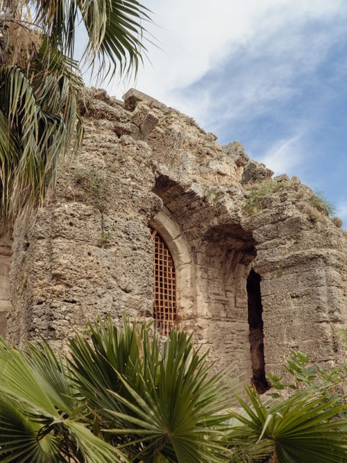 Free Explore ancient stone ruins entwined with palm trees under a bright sky. Stock Photo