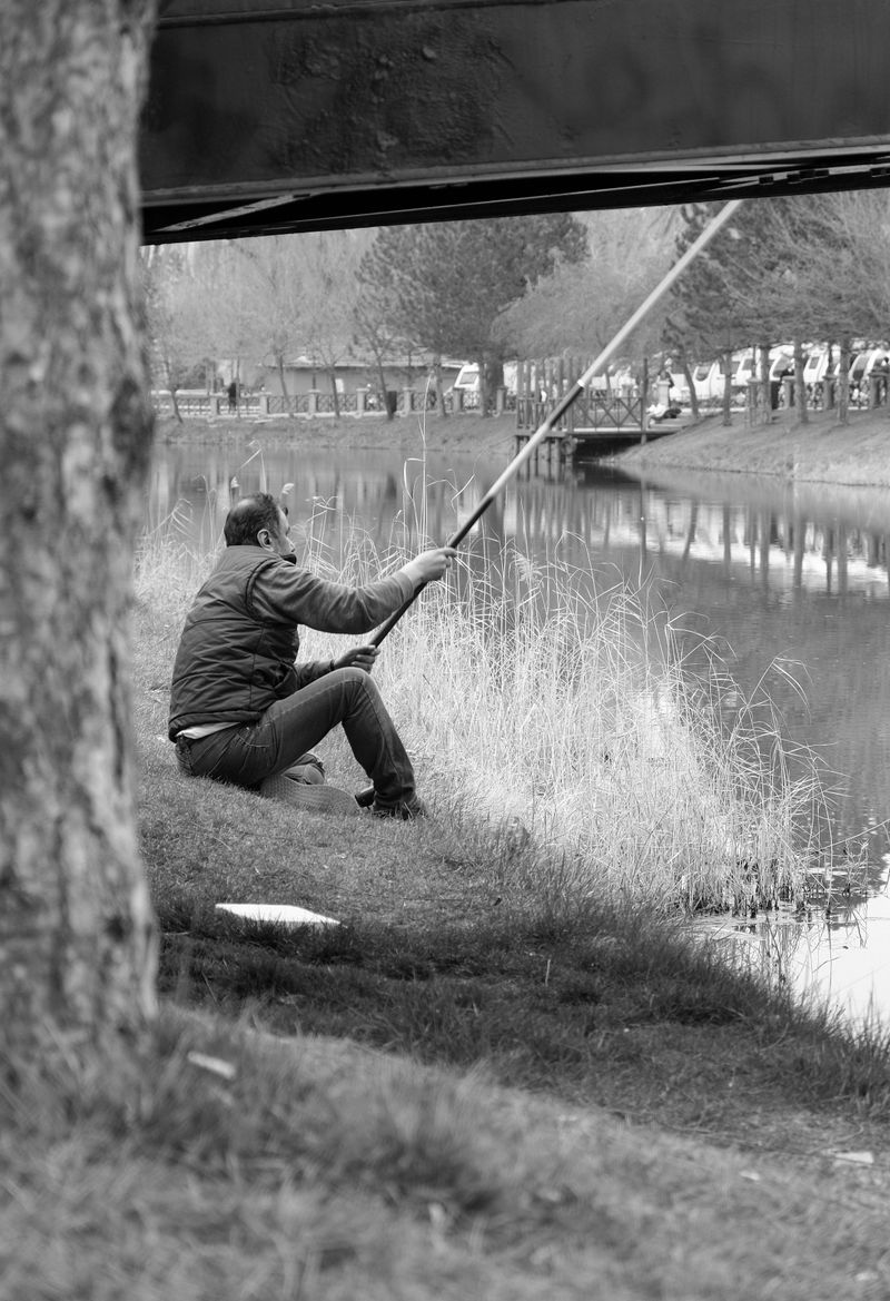 Angler fishing a shaded forest river at dusk