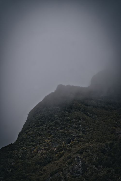 Free Mystical fog envelops the lush hillside of Santana, Madeira, Portugal, creating a serene landscape. Stock Photo
