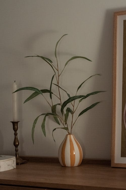 Gratis lagerfoto af bambus, blad, blomst