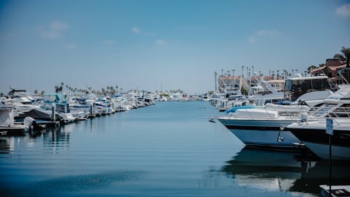 Бесплатное стоковое фото с вода, водный транспорт, гавань