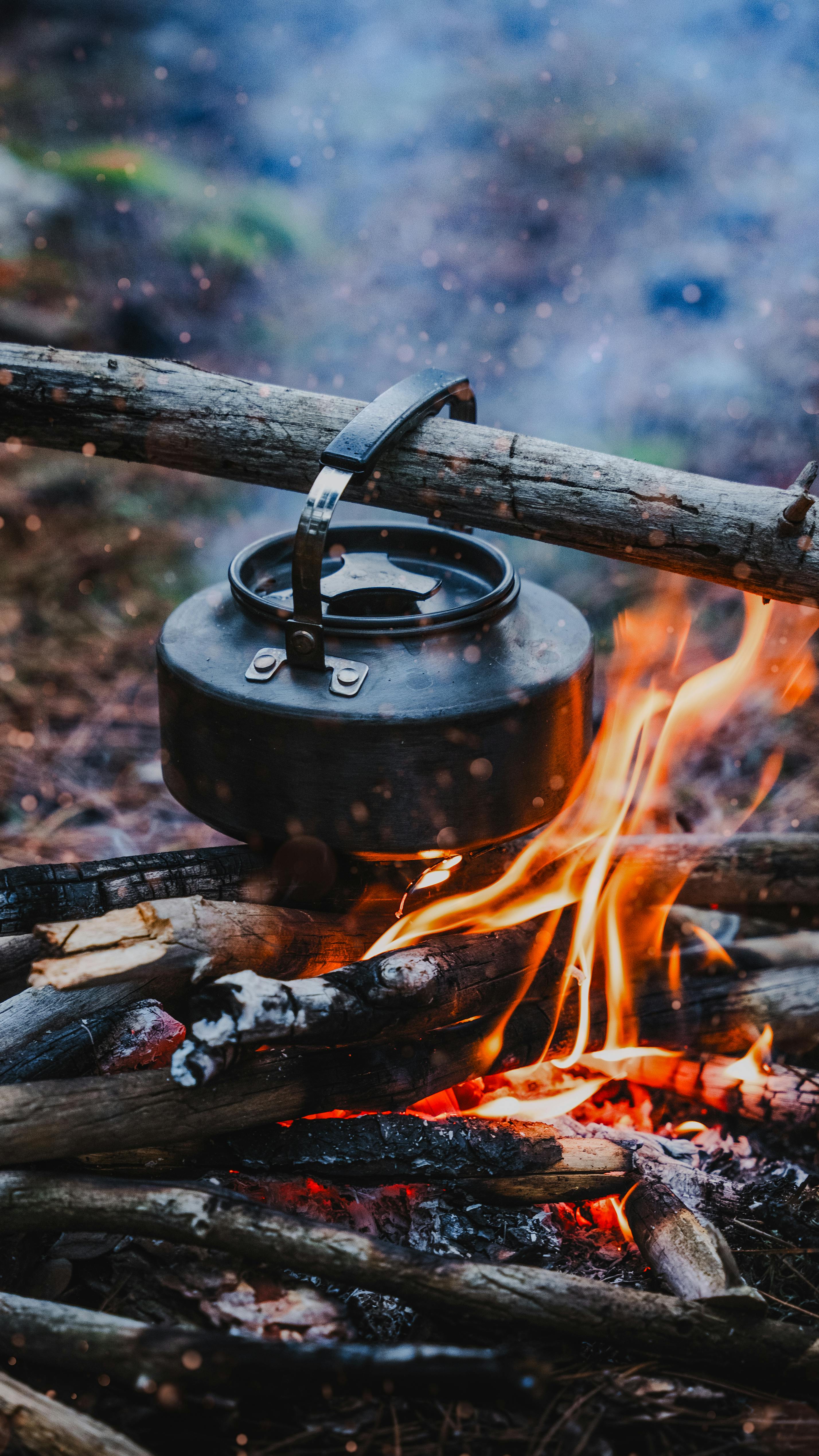 The Wilderness Survival Guide