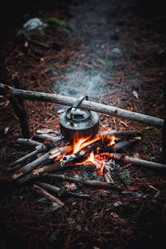 Kettle hanging over a crackling campfire in a forest, exuding wilderness charm.