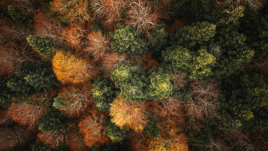 Inspect the Natural “Painter’s Palette” of Wild Mushroom Colors – 9 Clues Inspect the Natural “Painter’s Palette” of Wild Mushroom Colors – 9 Clues