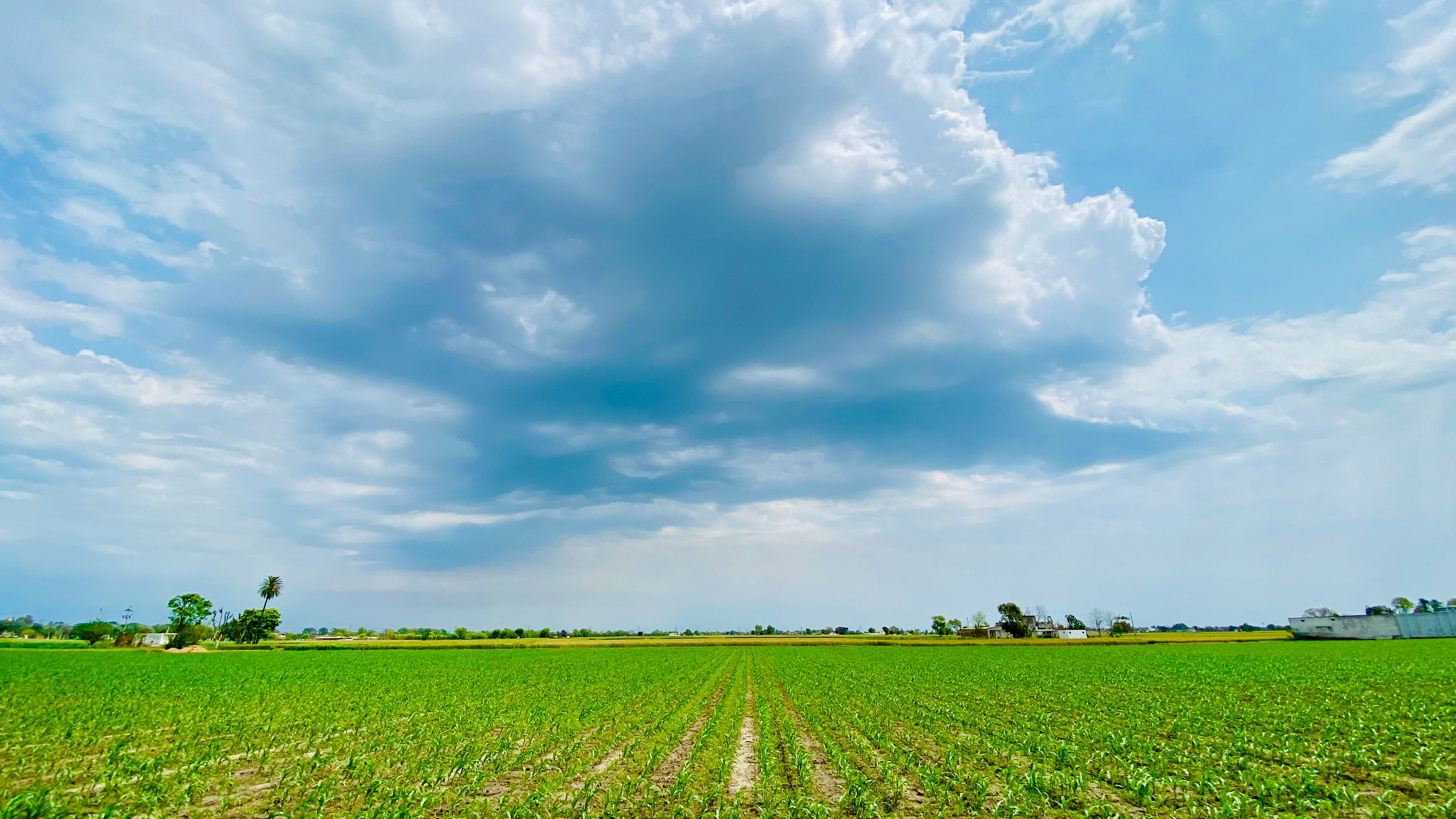 OOKY WEATHER IDEAL FOR OUTDOOR ADVENTURE SHOW — Photo by Mankoo Photography on Pexels