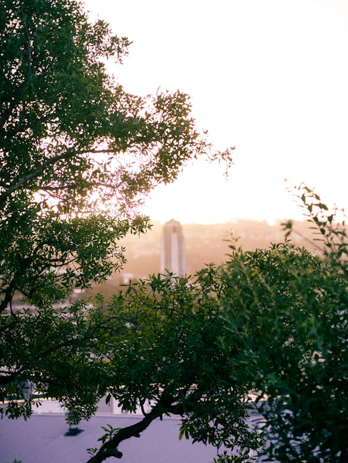 Ilmainen kuvapankkikuva tunnisteilla auringonlasku, bokeh, iltapäivä