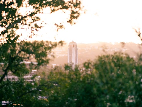 Ilmainen kuvapankkikuva tunnisteilla auringonlasku, bokeh, iltapäivä