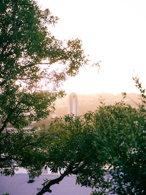 Ilmainen kuvapankkikuva tunnisteilla auringonlasku, bokeh, iltapäivä