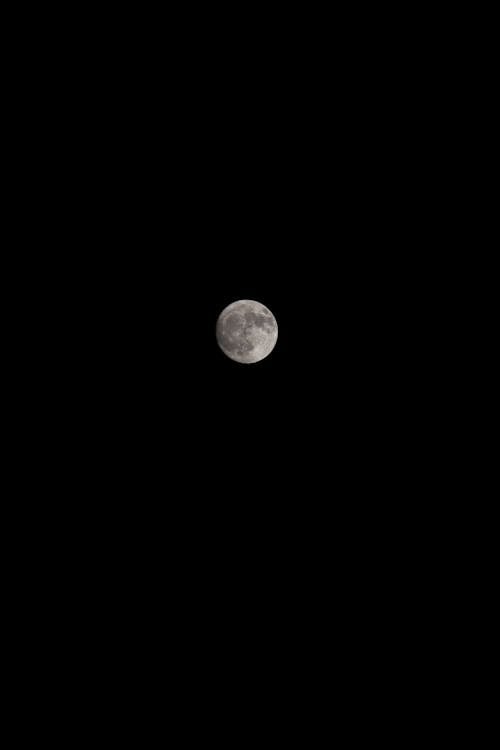 Kostnadsfri bild av fullmåne, kväll, månader
