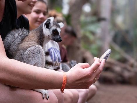 A lemur sits on a woman's arm as they take a selfie in a playful outdoor setting.