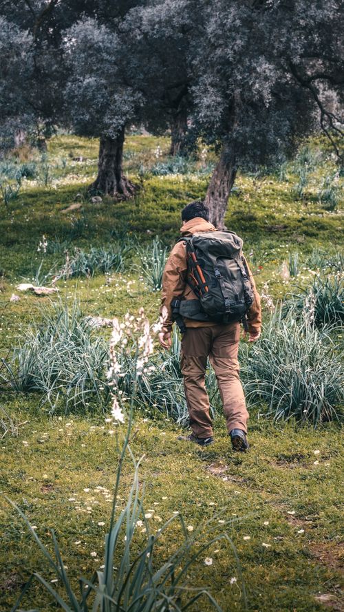 Free A man with a backpack walking through a lush forest trail, surrounded by tall trees and grass. Stock Photo