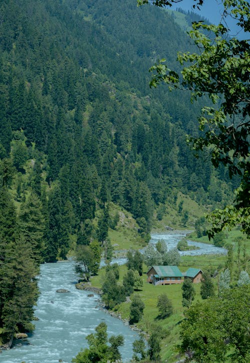 Darmowe zdjęcie z galerii z brzeg rzeki, dolina, drewno