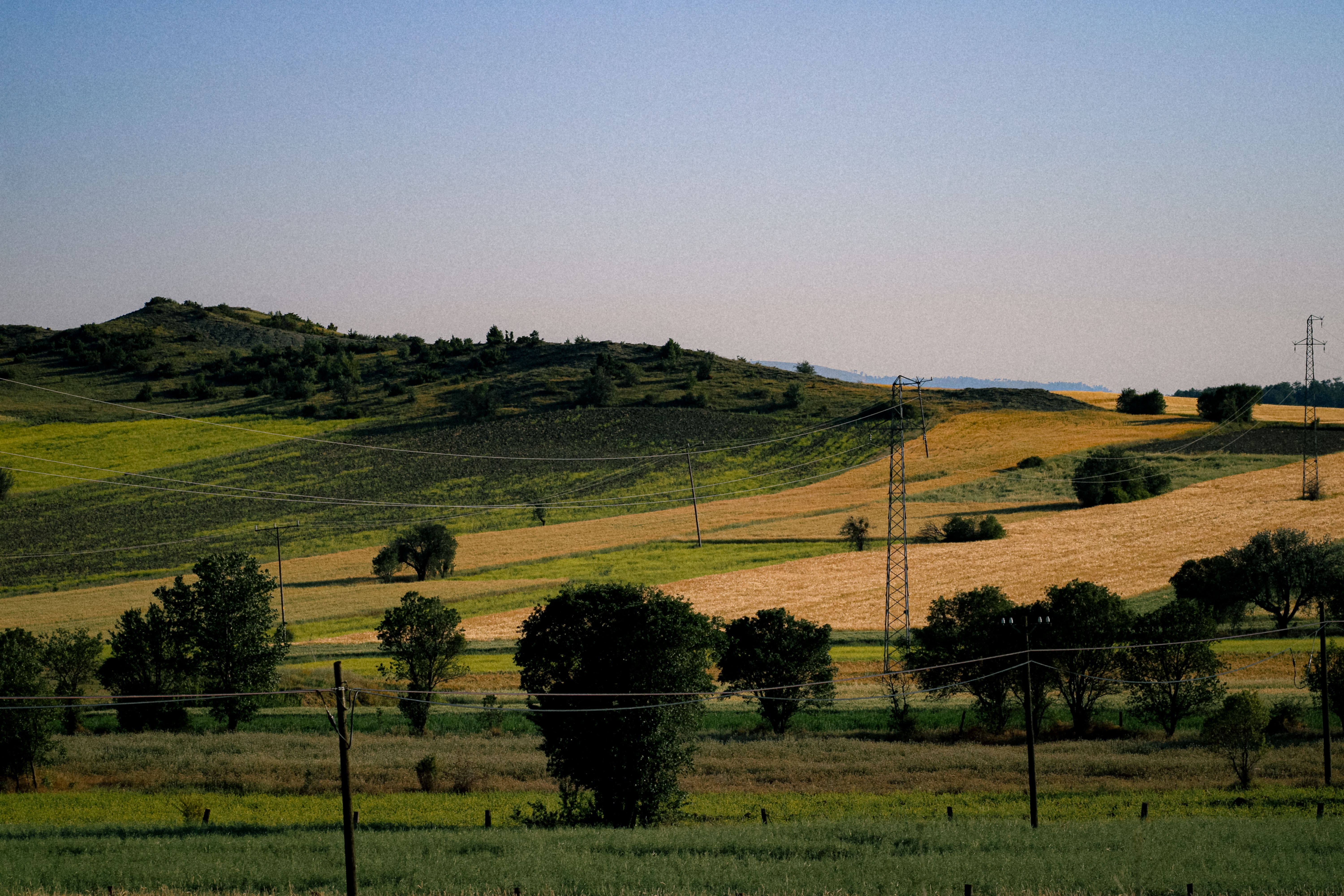 Scenic View of Croplands in the Countryside · Free Stock Photo