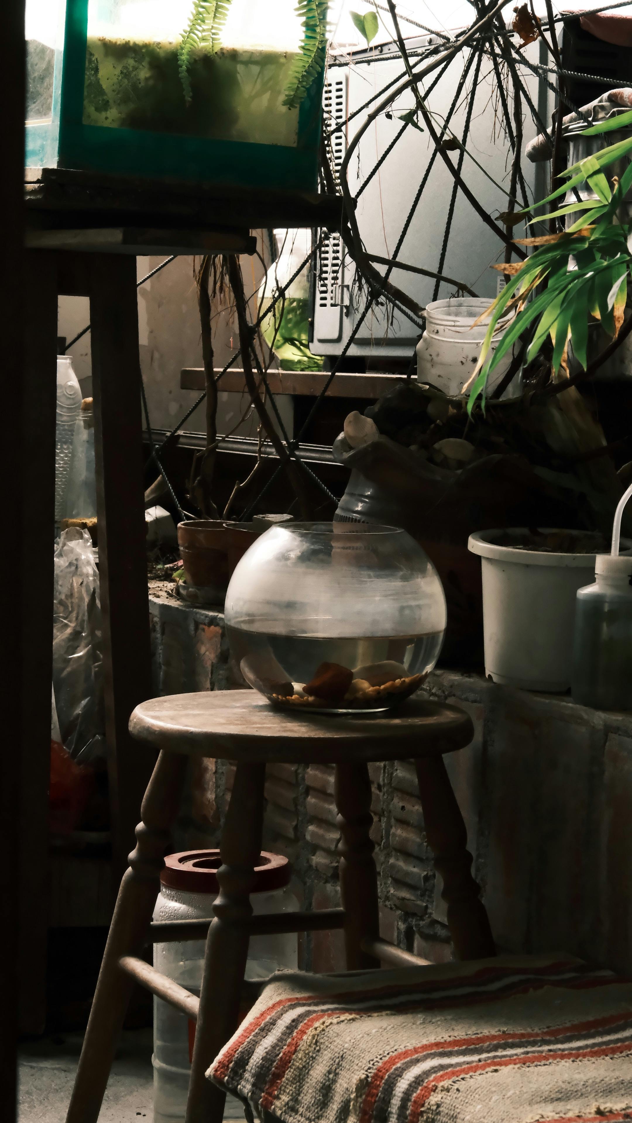 A tranquil indoor space featuring a fish bowl on a wooden stool in a garden setting.