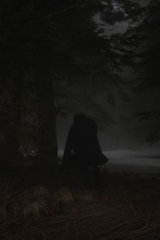 A dark, eerie silhouette stands in a foggy forest, evoking a sense of mystery and suspense.