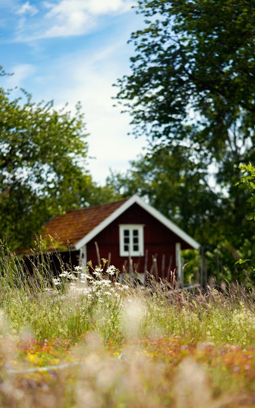 Kostenloses Stock Foto zu architektur, außerorts, baum