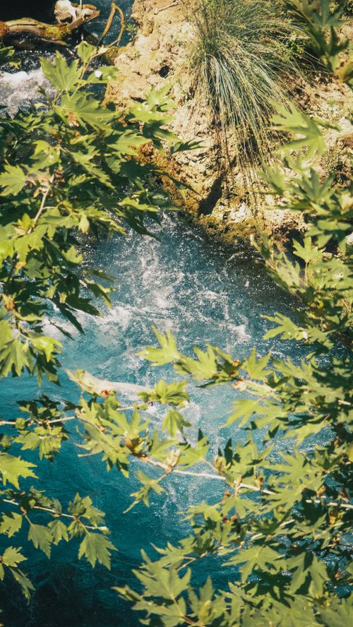 Free Vibrant summer leaves create a natural frame over a clear blue stream, showcasing nature's tranquility. Stock Photo
