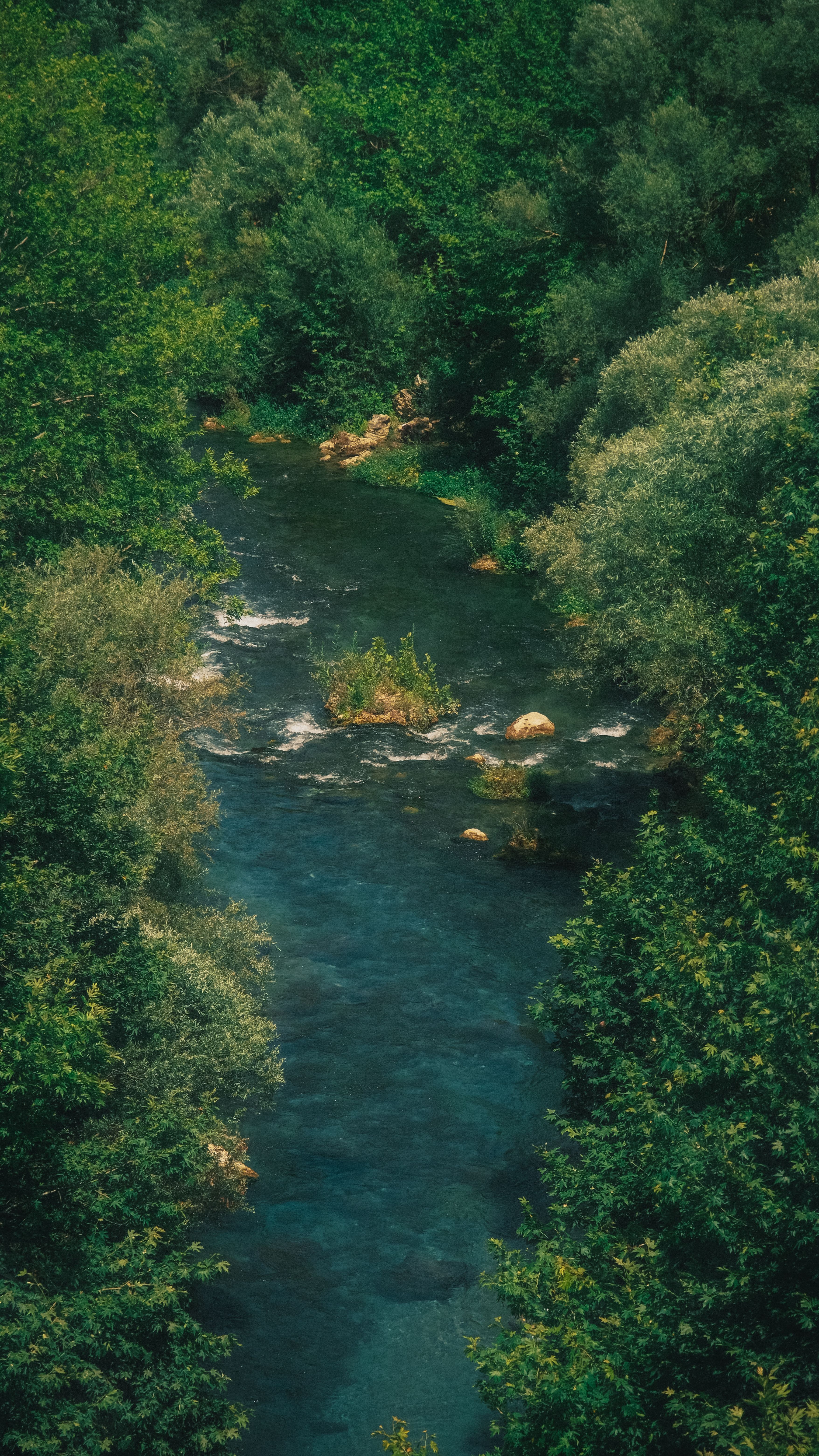 Landscape with a River · Free Stock Photo