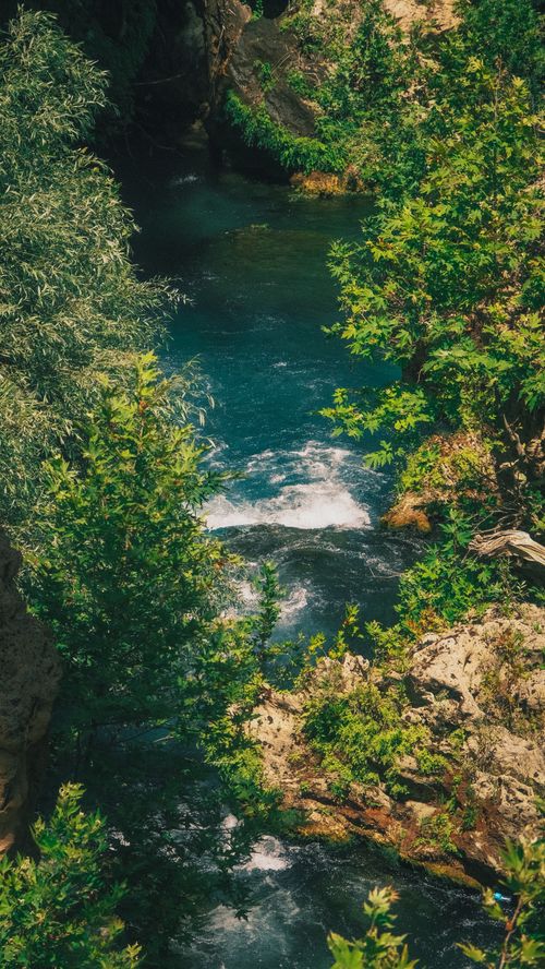 Free Scenic river stream flowing through lush green forest in summer. Stock Photo