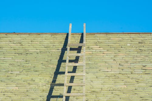 Free stock photo of bricks, chickweed, ladder