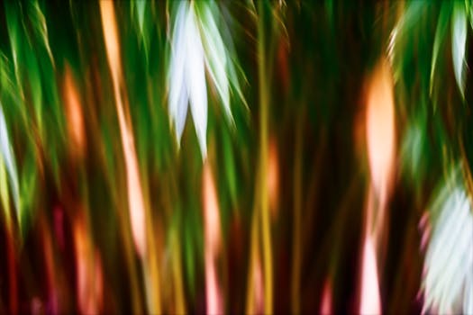 Colorful abstraction of nature with vibrant light effects and soft focus.