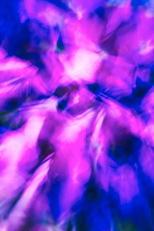 Free A vivid and dreamy abstract depiction of blurred floral forms in vibrant colors, exuding a sense of surreal beauty. Stock Photo