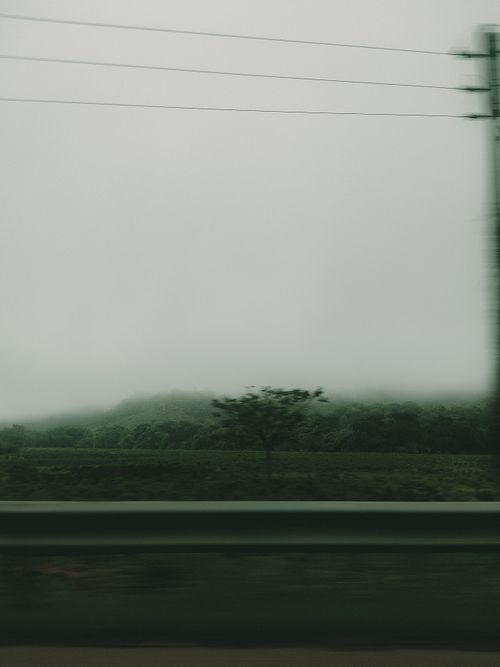 Free Moody landscape with a barrier in foggy Casacara, Colombia. Stock Photo