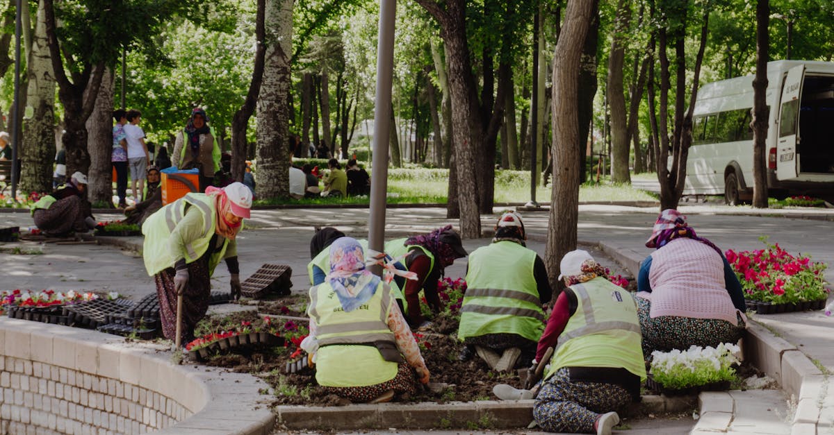 ¿Qué es el Turismo Solidario y Cómo Puede Ahorrar Dinero?