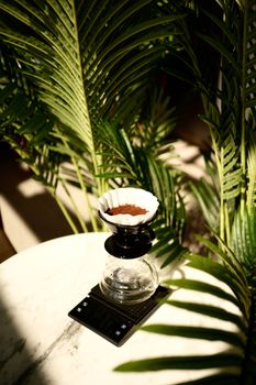 A sunlit pour-over coffee setup on a table surrounded by lush green leaves.