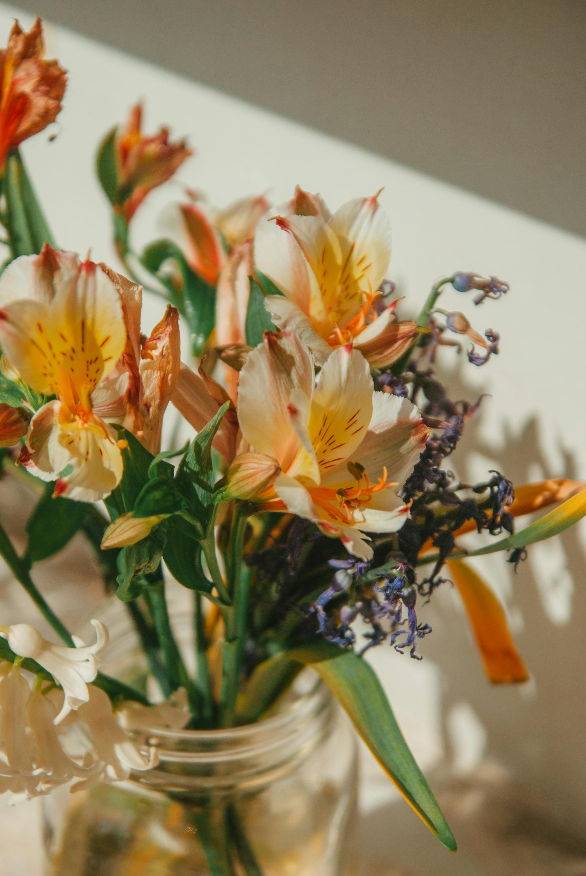 Close-up of vivid flowers in a clear vase, basking in sunlight.