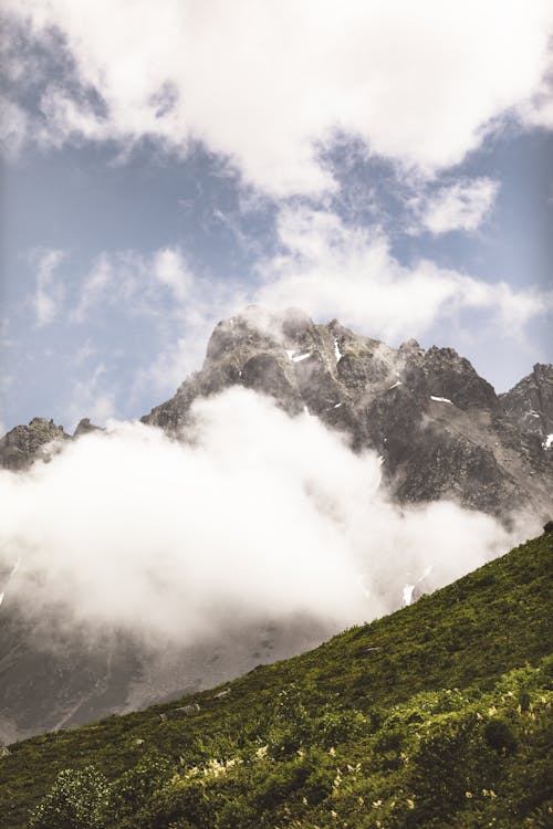 açık hava, ağaç, ahşap içeren Ücretsiz stok fotoğraf