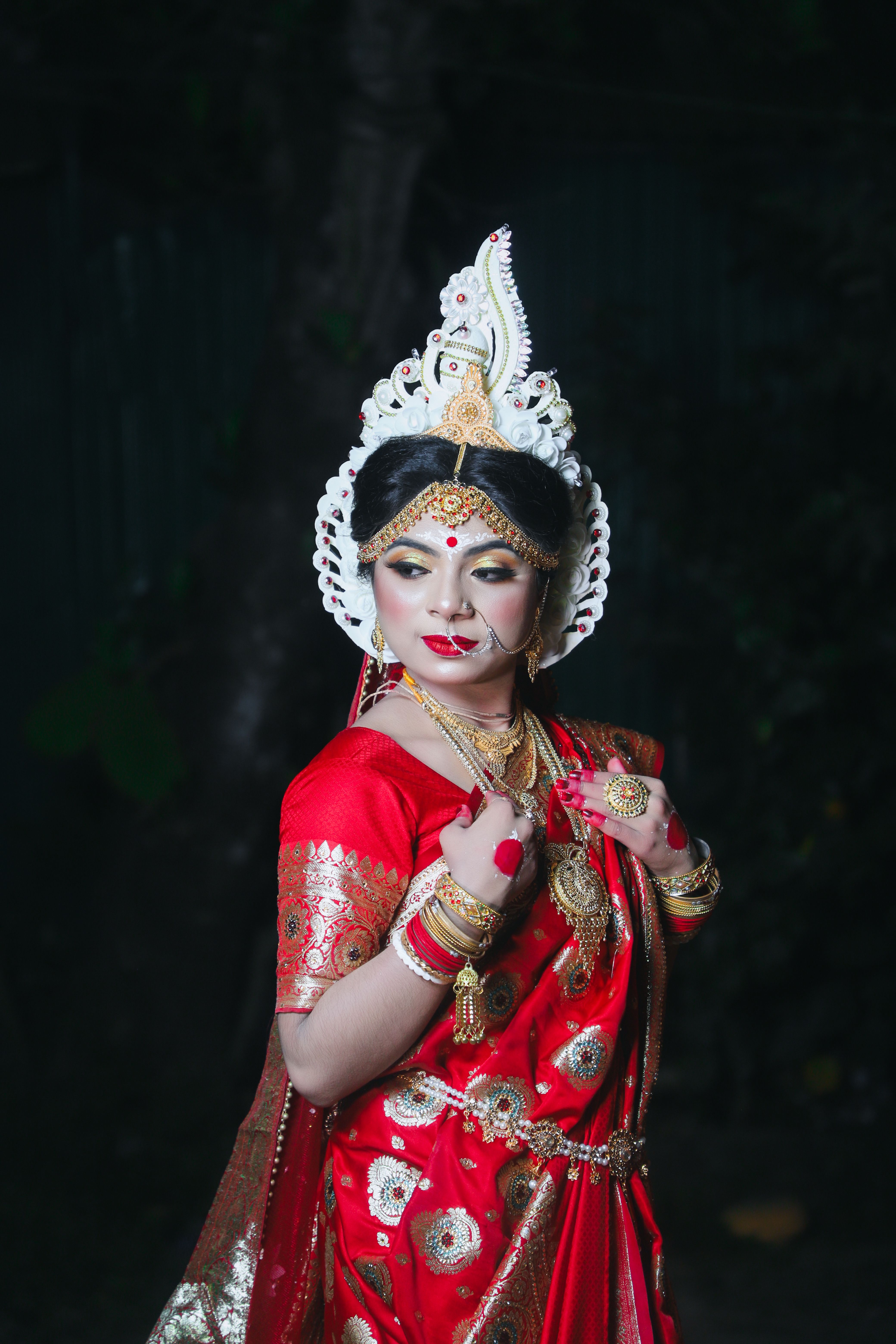 A woman in traditional indian dress posing for the camera · Free Stock ...